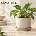 Alvremont™ Minimalist Indoor Plant Pot